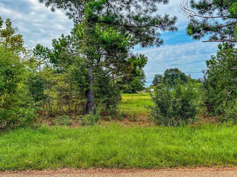 Lot 82 Circle Drive, Chandler, TX 75758