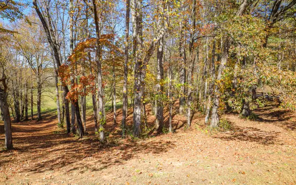 Lot 5 Hinton Overlook, Hayesville, NC 28904