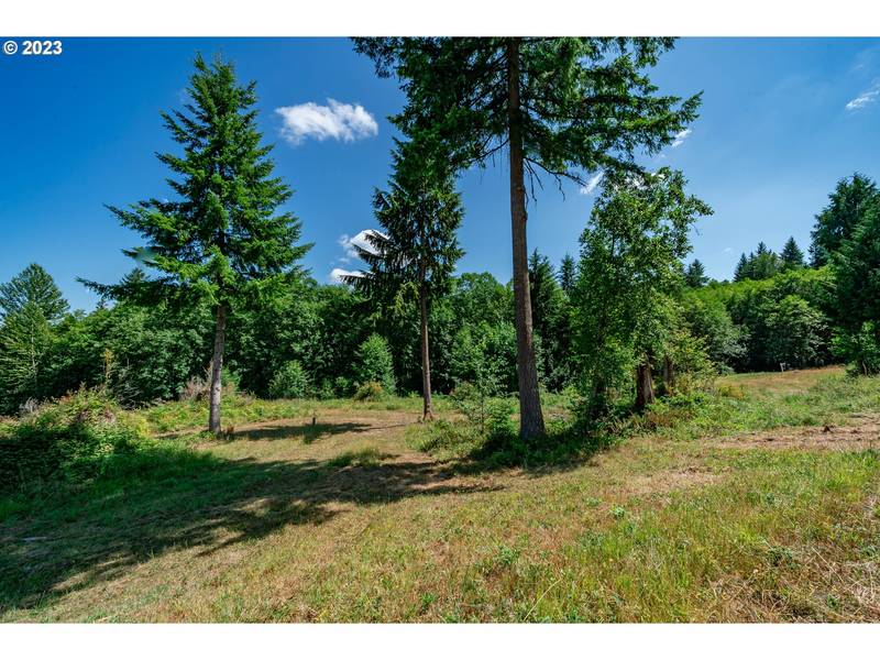 120 Red Hawk #2, Castle Rock, WA 98611