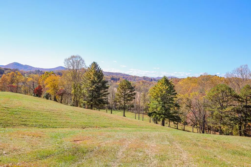 Hayesville, NC 28904,Lot 8 Hinton Overlook