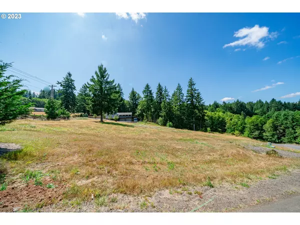 Castle Rock, WA 98611,117 Red Hawk DR #1