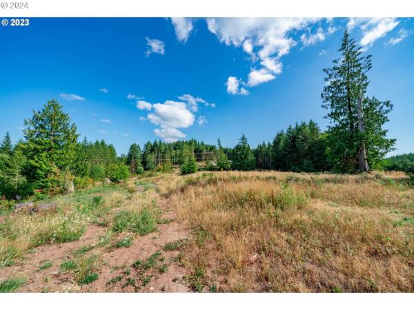 0 S Silver Lake #8, Castle Rock, WA 98611