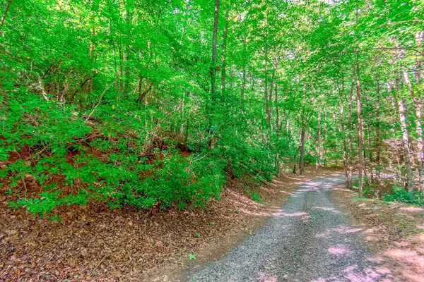 Blue Ridge, GA 30513,Lot 10 Cashes Valley Lane