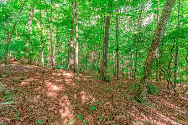 Blue Ridge, GA 30513,Lot 10 Cashes Valley Lane