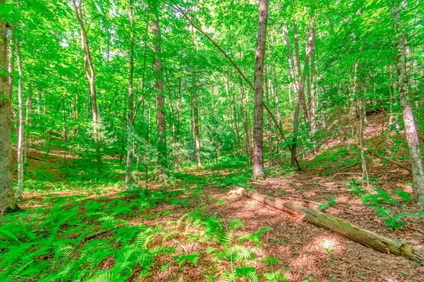 Blue Ridge, GA 30513,Lot 10 Cashes Valley Lane