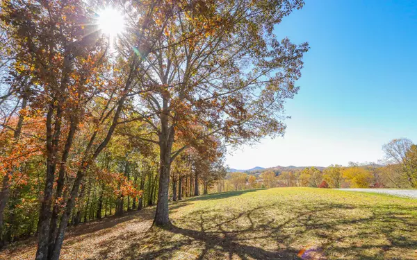 Hayesville, NC 28904,Lot 9 Hinton Overlook