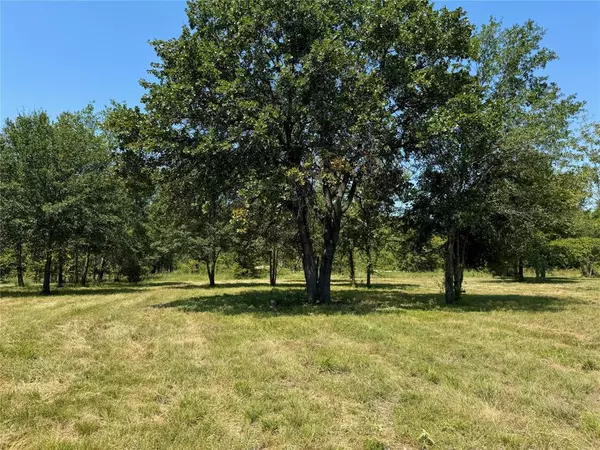 Gun Barrel City, TX 75156,Lot 45R Driftwood Lane