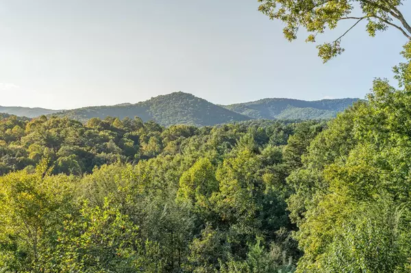 Ellijay, GA 30540,1144 Settlers Ridge Road