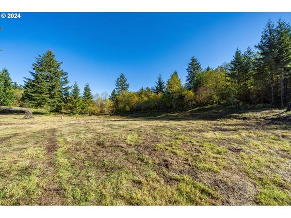 NE Livingston Mountain CIR, Camas, WA 98607