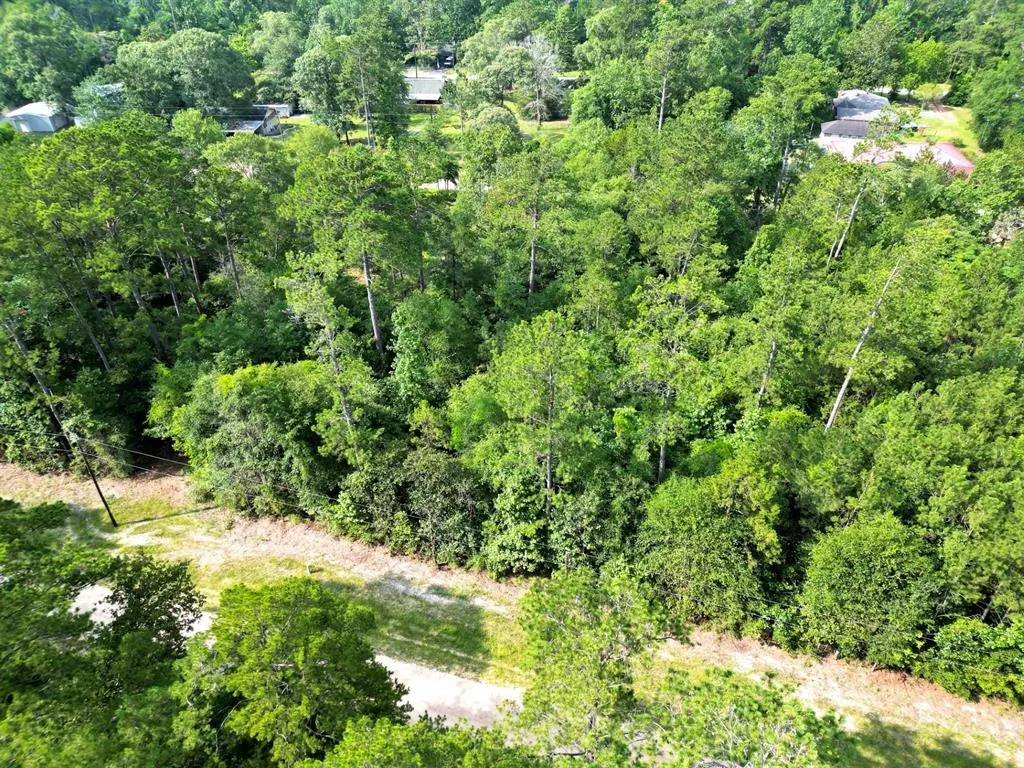 Woodville, TX 75979,Lot 8 Sir Ewaine Drive