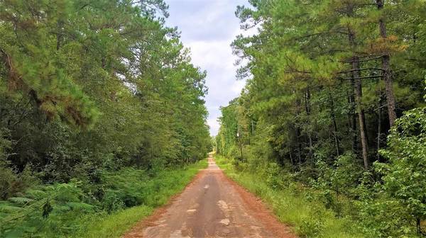 Lot 1 Friar Tuck Drive N, Woodville, TX 75979