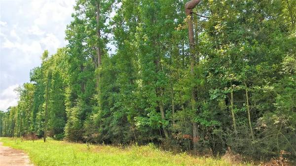 Woodville, TX 75979,Lot 2 Friar Tuck Drive N