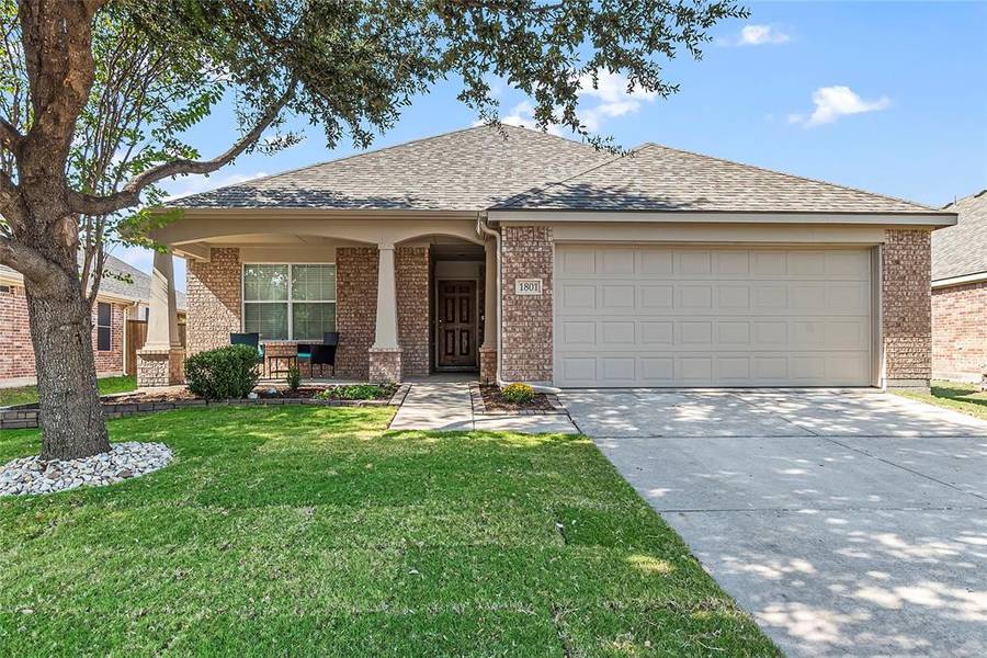 1801 Castle Creek Drive, Little Elm, TX 75068