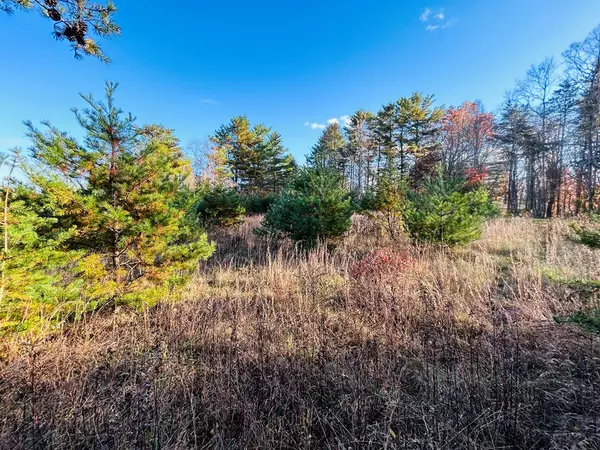 Fancy Gap, VA 24333,TBD Overlook Lane