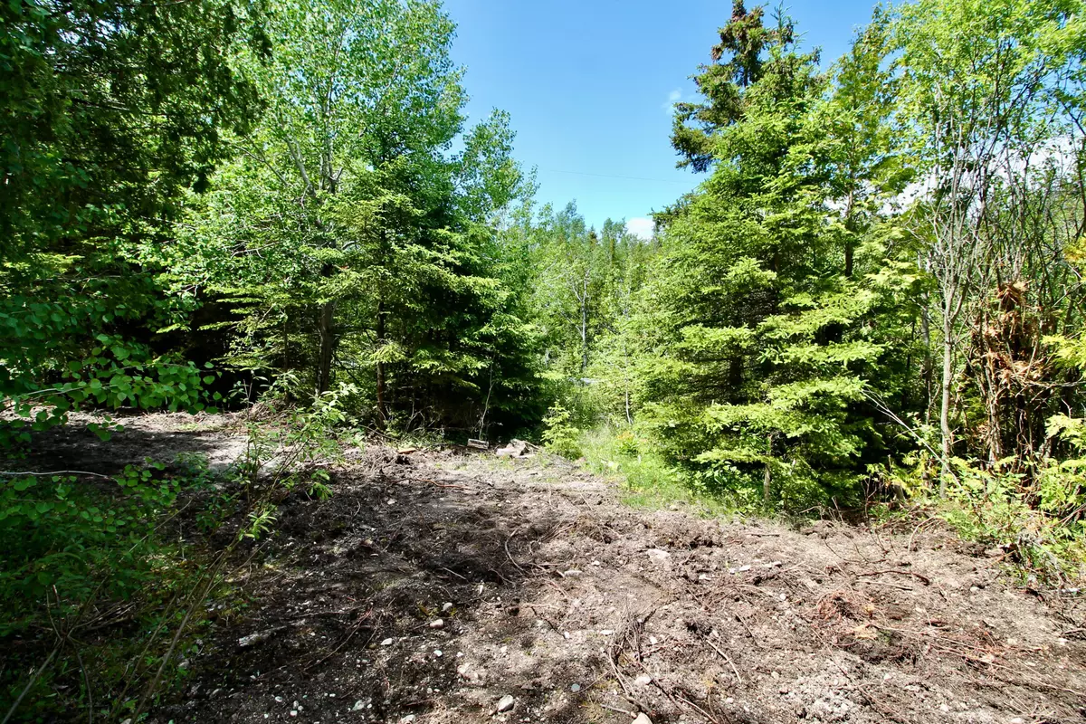 Northern Bruce Peninsula, ON N0H 2R0,50 Harpur DR