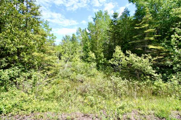 Northern Bruce Peninsula, ON N0H 2R0,50 Harpur DR