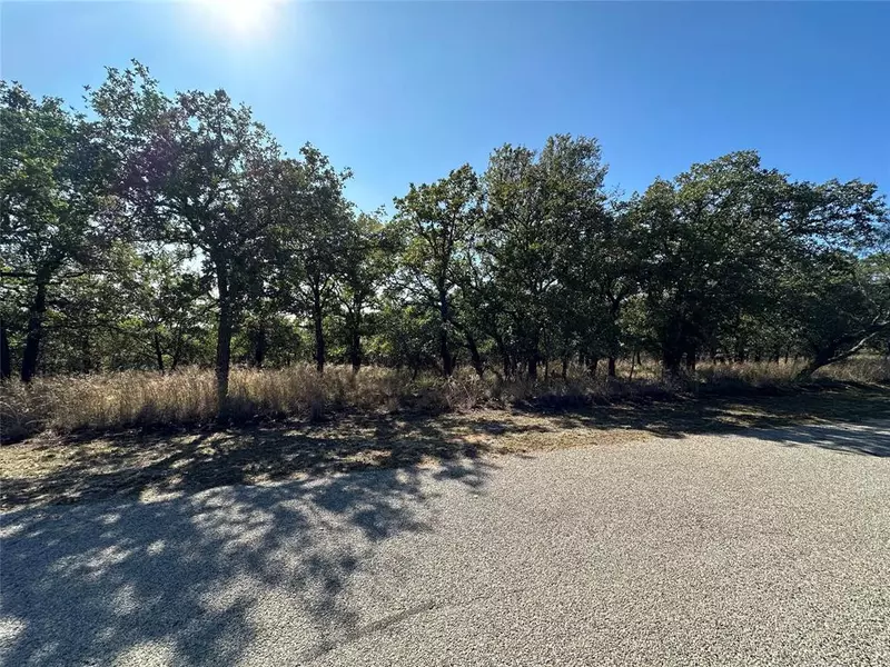 436 Greenbriar Drive, May, TX 76857