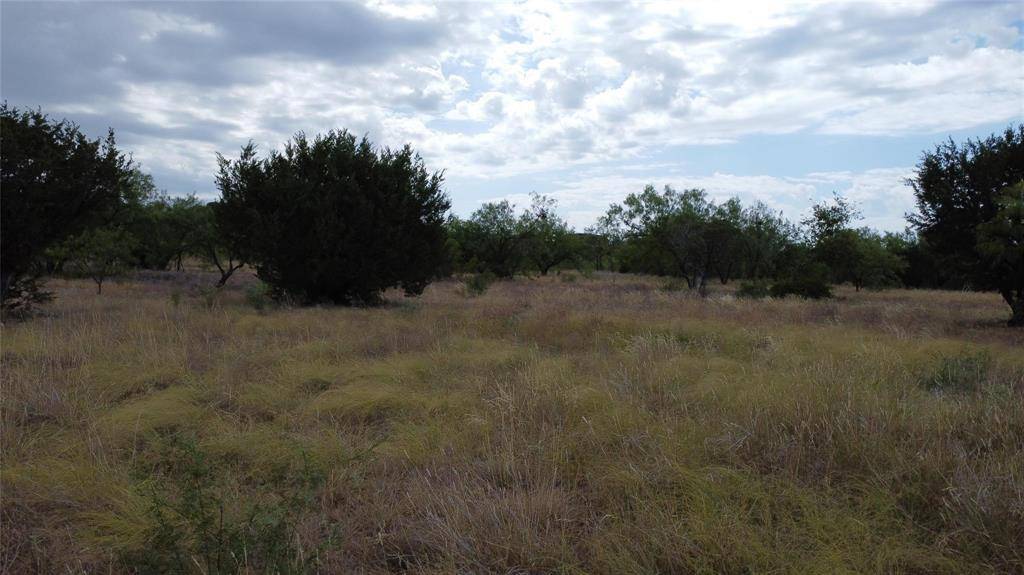 Lot 1049 Frog Branch Court, Possum Kingdom Lake, TX 76449