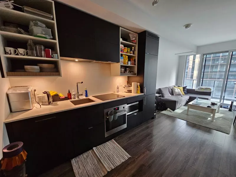 20 Edward ST #607, Toronto C01, ON M5G 0C5