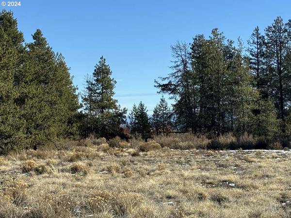 Kay ST #Lot 1, Chiloquin, OR 97624