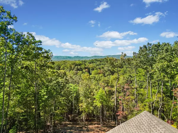 Ellijay, GA 30540,64 Hickory Trail