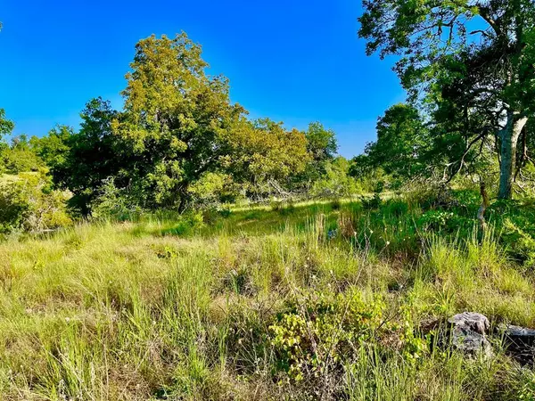 Lot 77 -- Canyons Dr, Fredericksburg, TX 78624