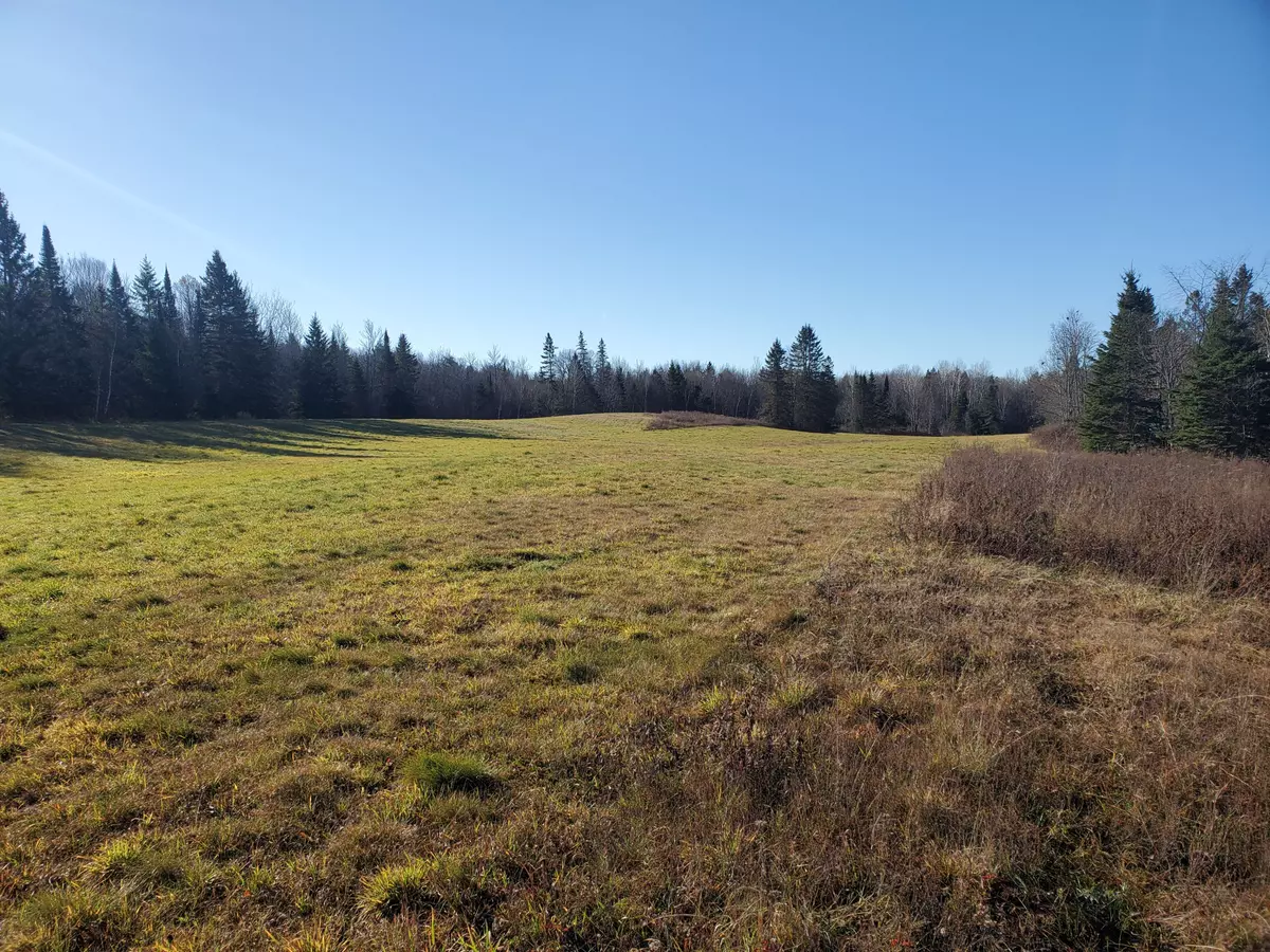 Parry Sound Remote Area, ON P0H 1S0,00 East RD