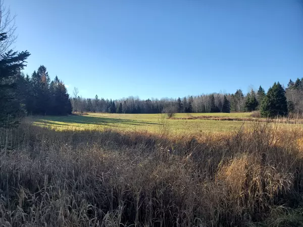 Parry Sound Remote Area, ON P0H 1S0,00 East RD