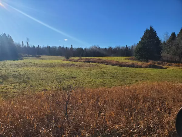 Parry Sound Remote Area, ON P0H 1S0,00 East RD