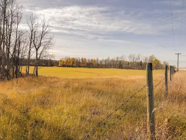 Rural Saddle Hills County, AB T0H 0H0,NW-20-79-8-W6 794 Township