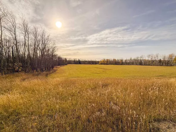 Rural Saddle Hills County, AB T0H 0H0,NW-20-79-8-W6 794 Township