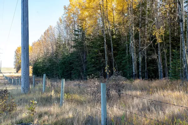 Rural Clearwater County, AB T0M 0C0