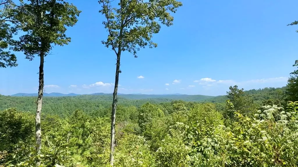 Lot 8 Lookout Valley Trail, Talking Rock, GA 30175