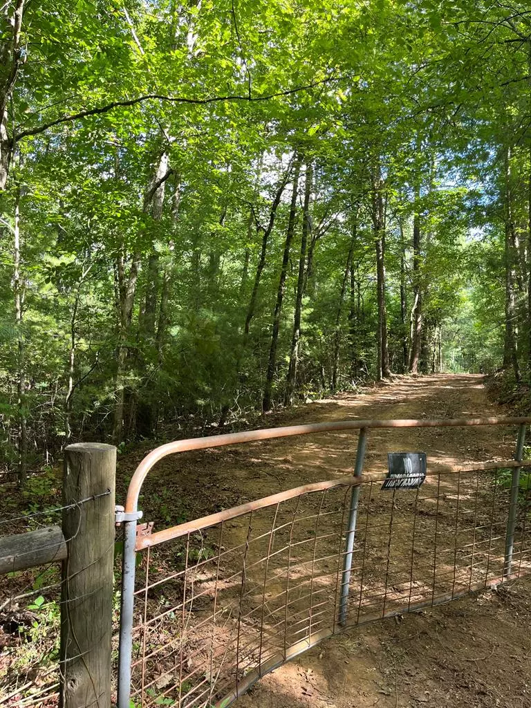 Mineral Bluff, GA 30559,104 Acre Cutcane Road