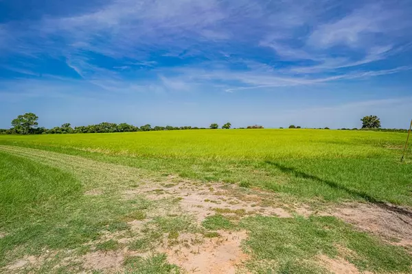 Tolar, TX 76476,320 Runyan Ranch Road