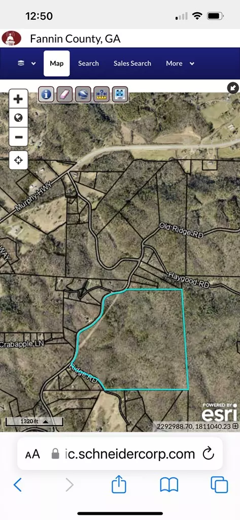 Mineral Bluff, GA 30559,104 Acre Cutcane Road