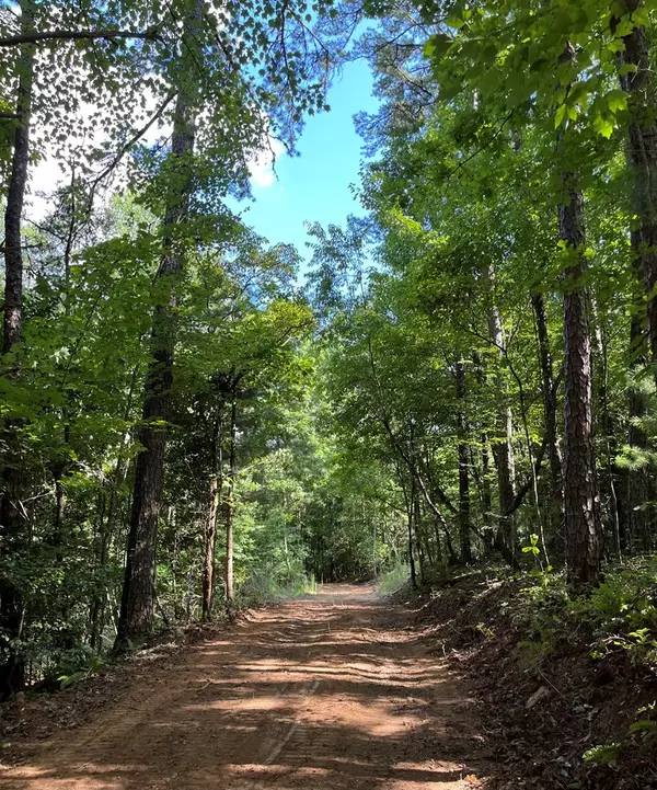 Mineral Bluff, GA 30559,104 Acre Cutcane Road