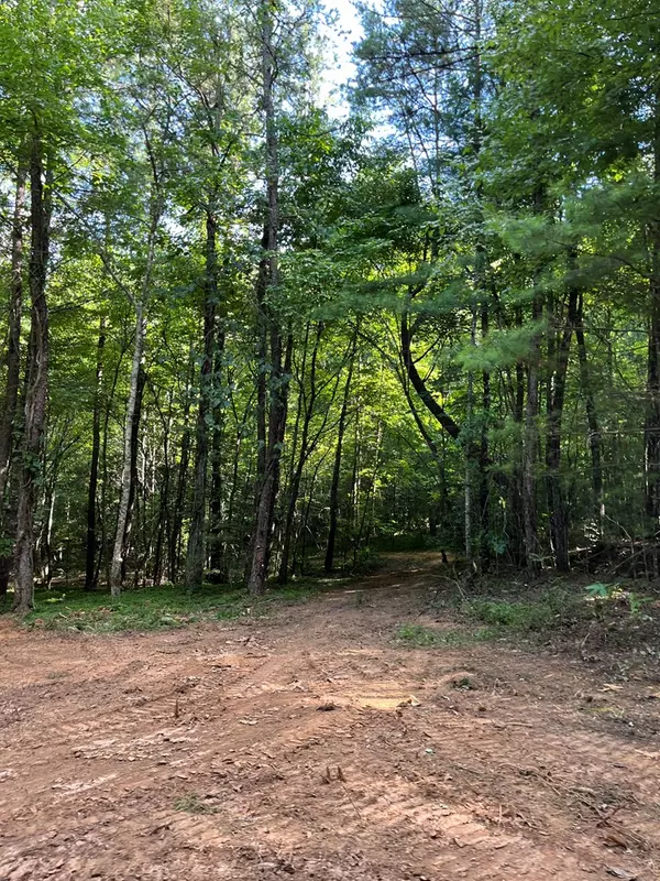 Mineral Bluff, GA 30559,104 Acre Cutcane Road