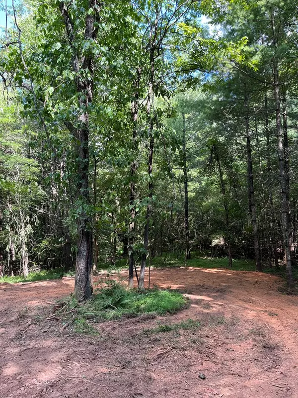 Mineral Bluff, GA 30559,104 Acre Cutcane Road