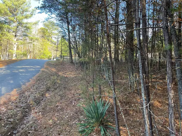 lot 24 Wilmar Circle, Blairsville, GA 30512