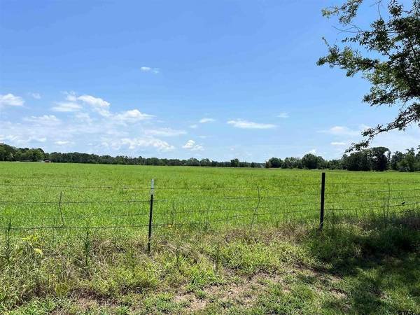 Mineola, TX 75773,607 CR 2918