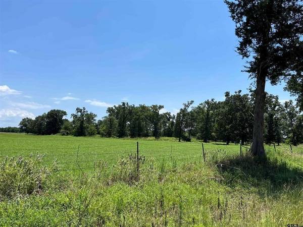 Mineola, TX 75773,607 CR 2918