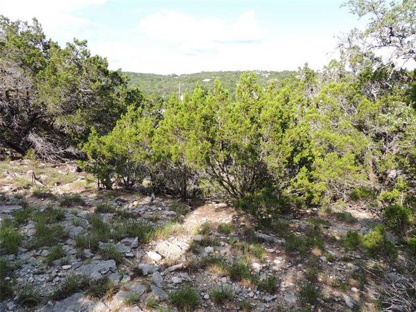 Canyon Lake, TX 78133,1490 Desiree Street