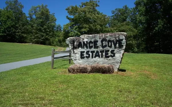 Hayesville, NC 28904,24 Coyote Cove