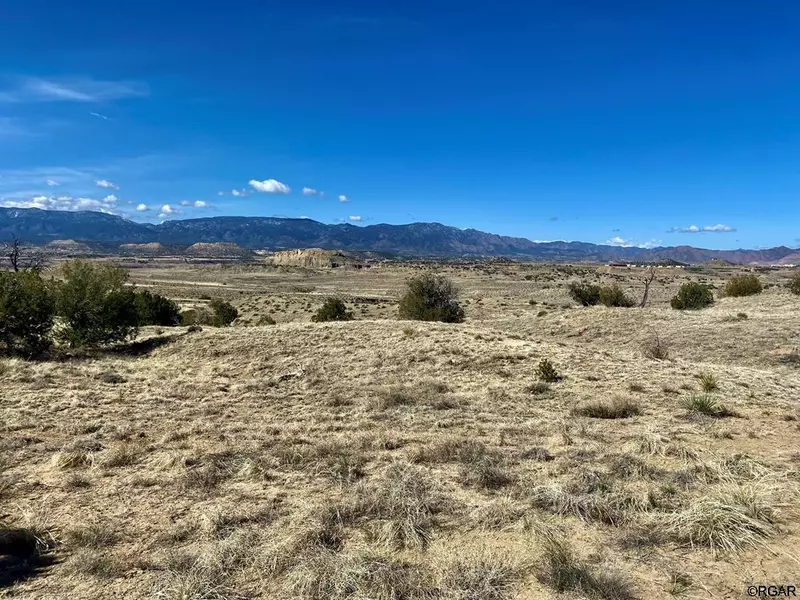 Lot 37 Hwy 67, Penrose, CO 81240