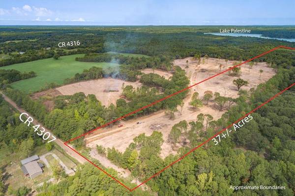 Larue, TX 75770,Tract 2 - TBD County Road 4307