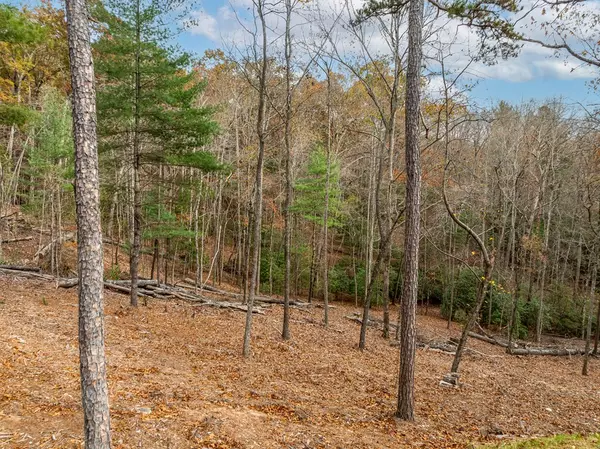 Morganton, GA 30560,Lot 15 Briar Creek Court