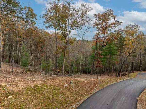 Morganton, GA 30560,Lot 15 Briar Creek Court