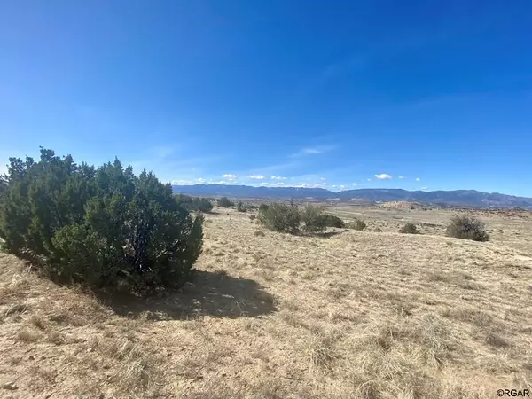 Penrose, CO 81240,Lot 35 Hwy 67