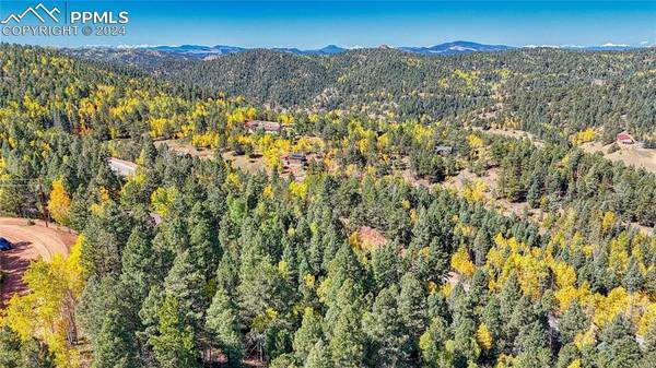 959 Calcite DR, Divide, CO 80814